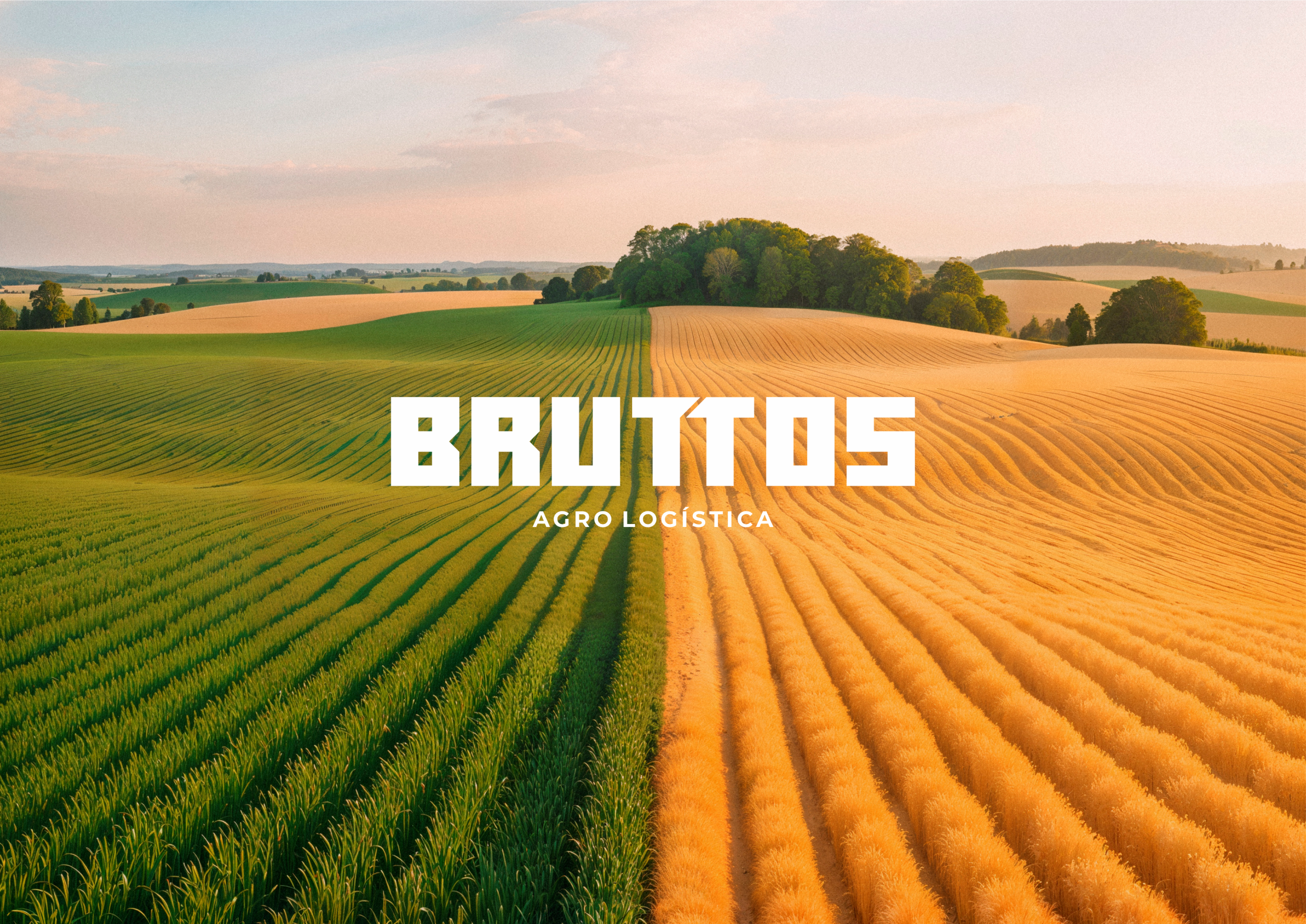imagem Bruttos Agro Logística