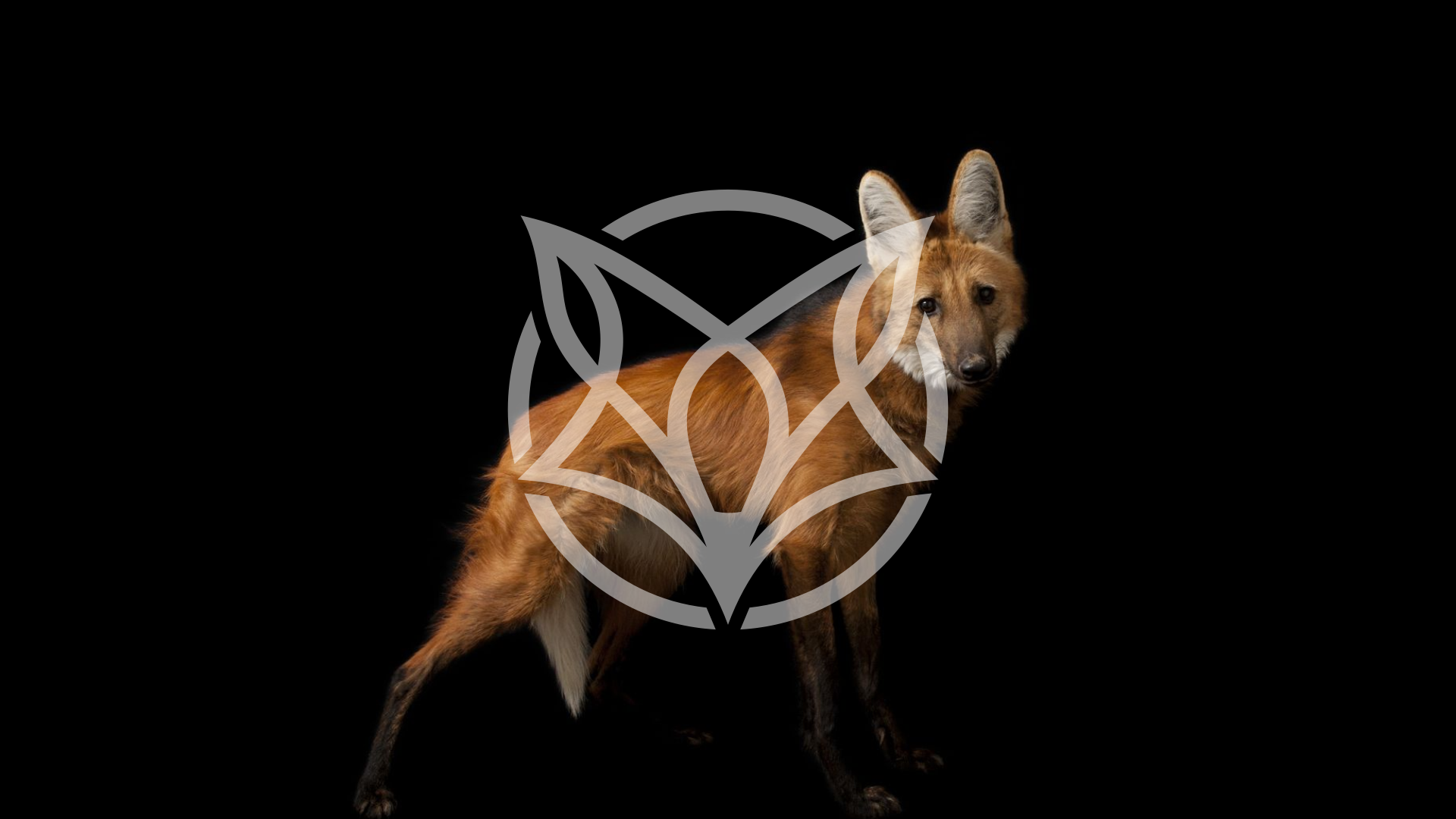 imagem Jardins do Ibitipoca