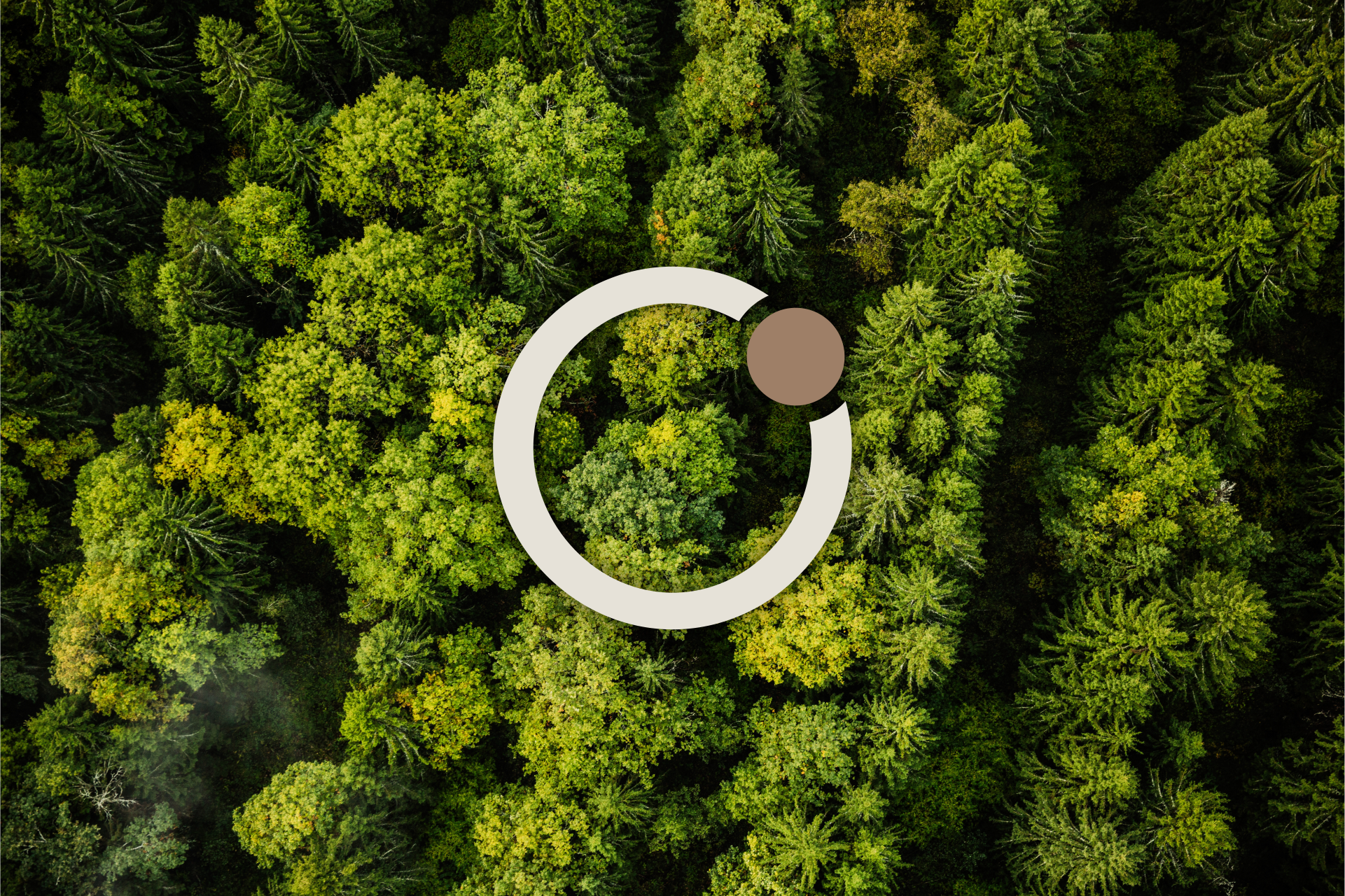 imagem Halo Sustentabilidade